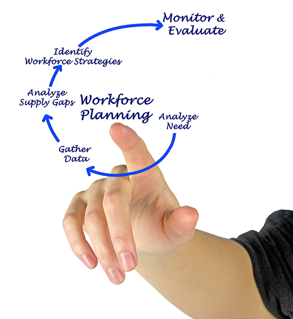 Workforce Planning and Developmet